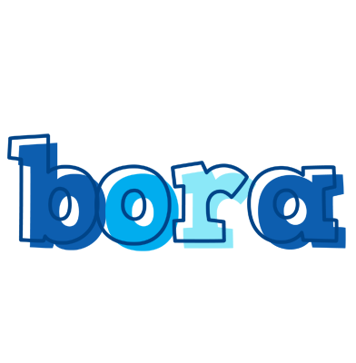 Bora sailor logo