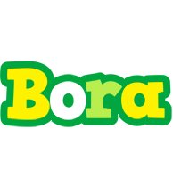 Bora soccer logo