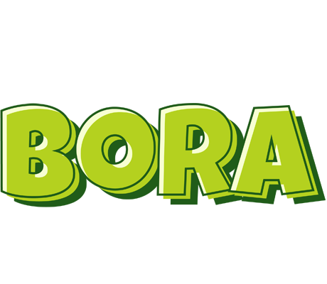 Bora summer logo