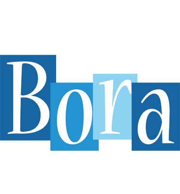 Bora winter logo