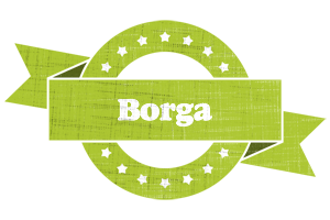 Borga change logo