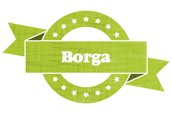 Borga change logo
