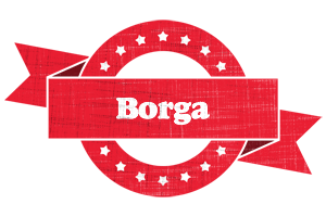 Borga passion logo