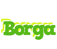 Borga picnic logo