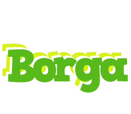 Borga picnic logo