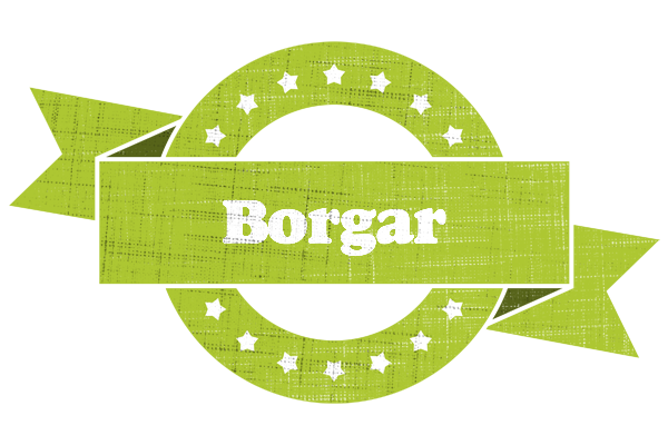 Borgar change logo