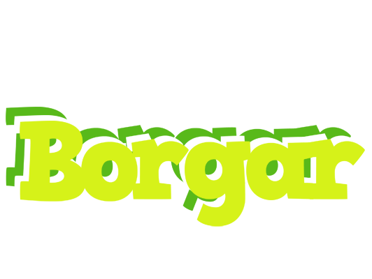 Borgar citrus logo