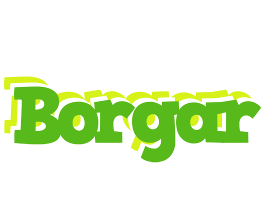 Borgar picnic logo