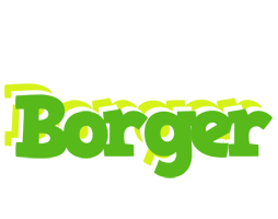 Borger picnic logo