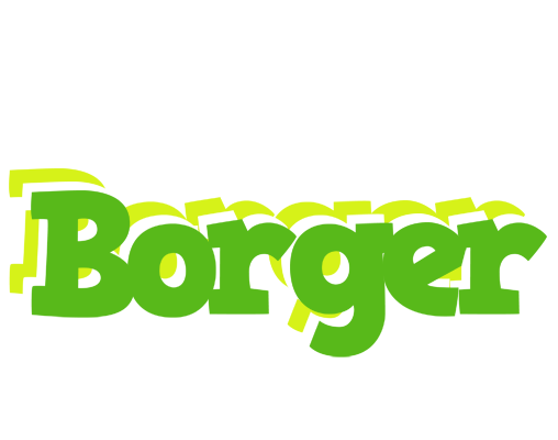 Borger picnic logo