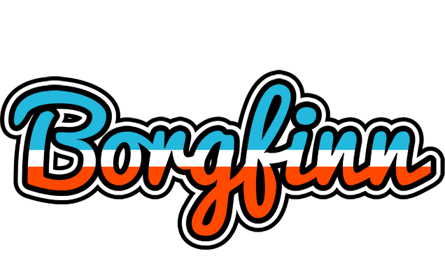 Borgfinn america logo
