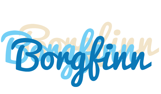Borgfinn breeze logo