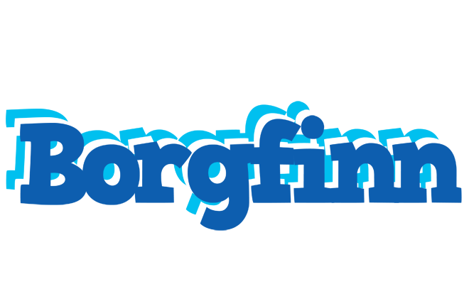 Borgfinn business logo