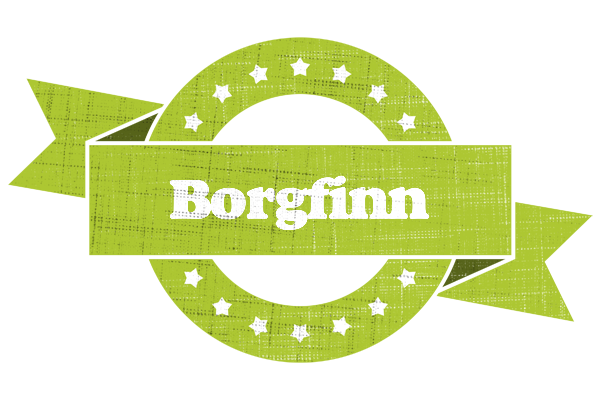 Borgfinn change logo
