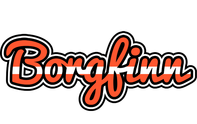 Borgfinn denmark logo