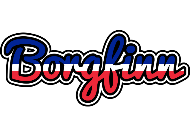 Borgfinn france logo