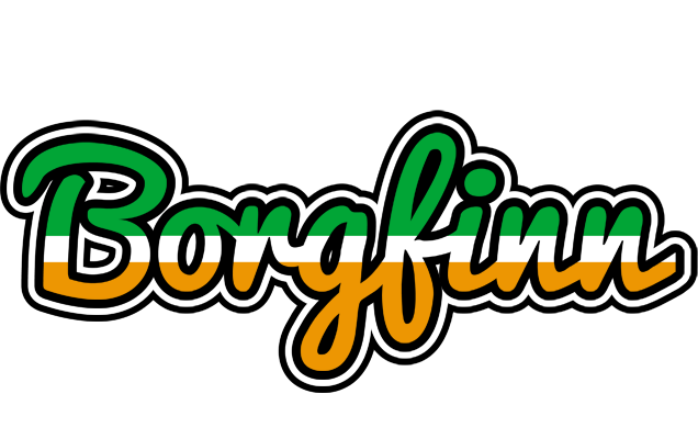 Borgfinn ireland logo