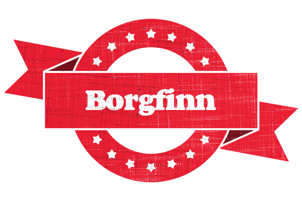 Borgfinn passion logo