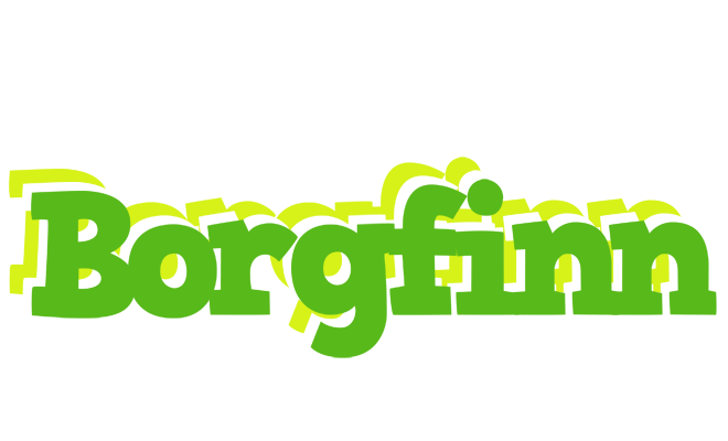 Borgfinn picnic logo