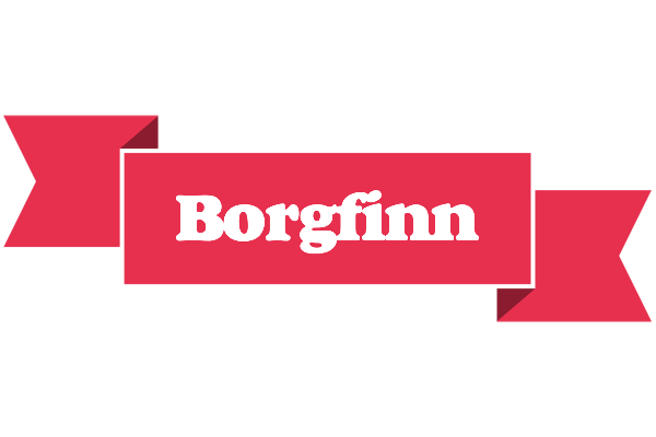 Borgfinn sale logo