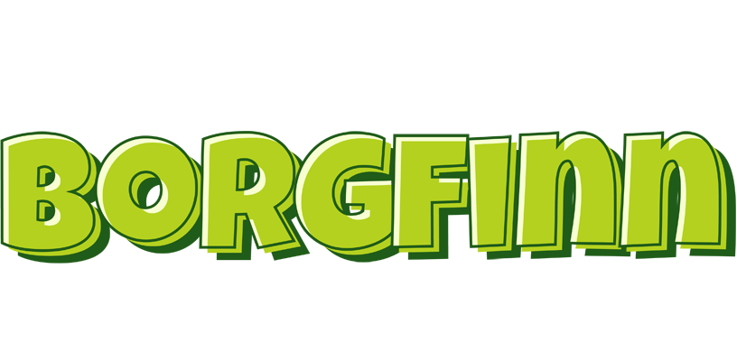 Borgfinn summer logo