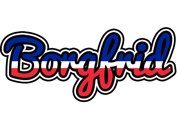 Borgfrid france logo