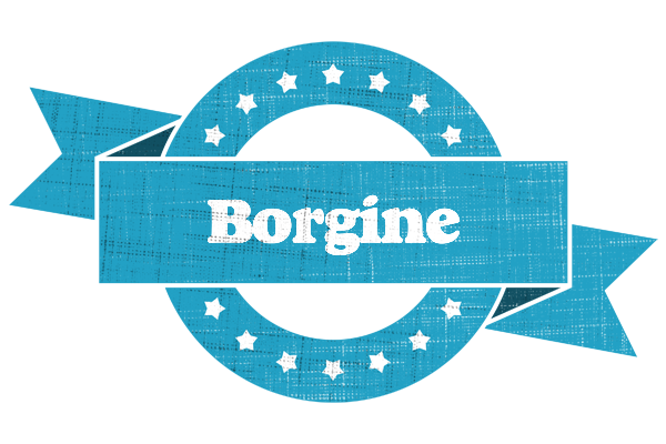 Borgine balance logo