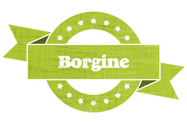 Borgine change logo