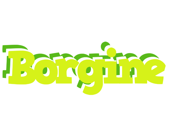 Borgine citrus logo
