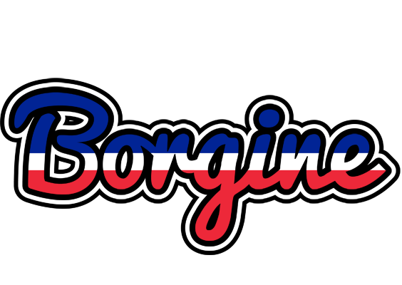 Borgine france logo