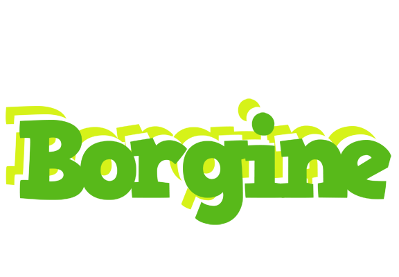 Borgine picnic logo