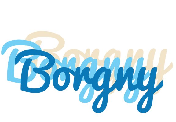 Borgny breeze logo