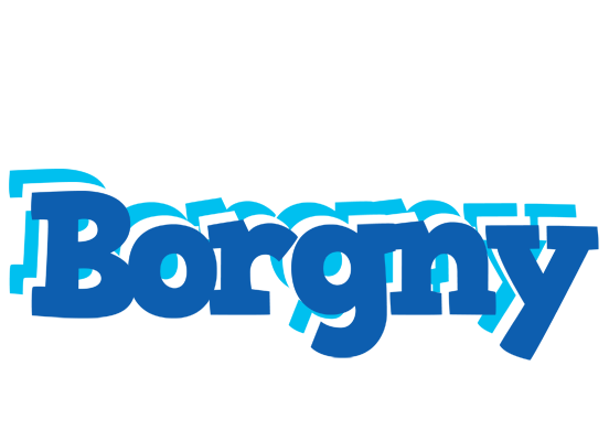 Borgny business logo