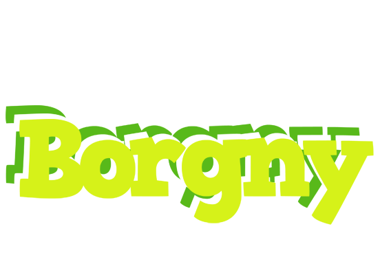 Borgny citrus logo