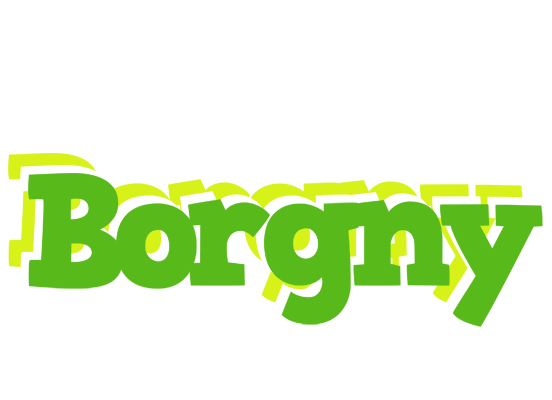 Borgny picnic logo