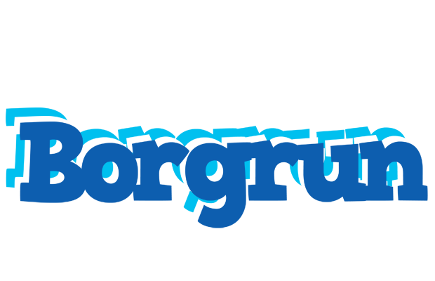 Borgrun business logo
