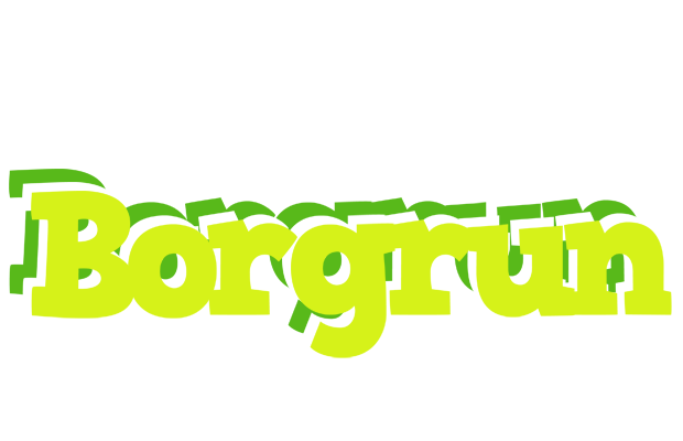 Borgrun citrus logo