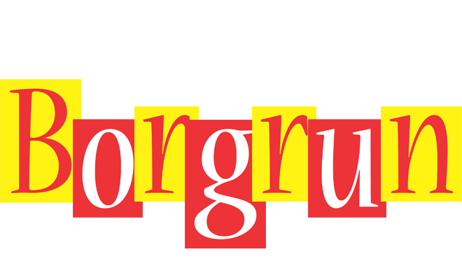 Borgrun errors logo