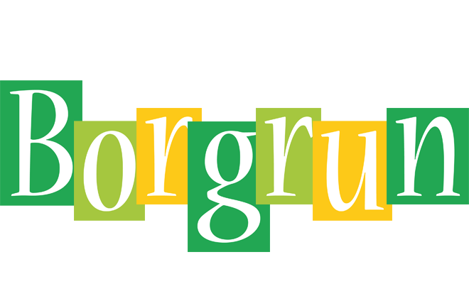 Borgrun lemonade logo