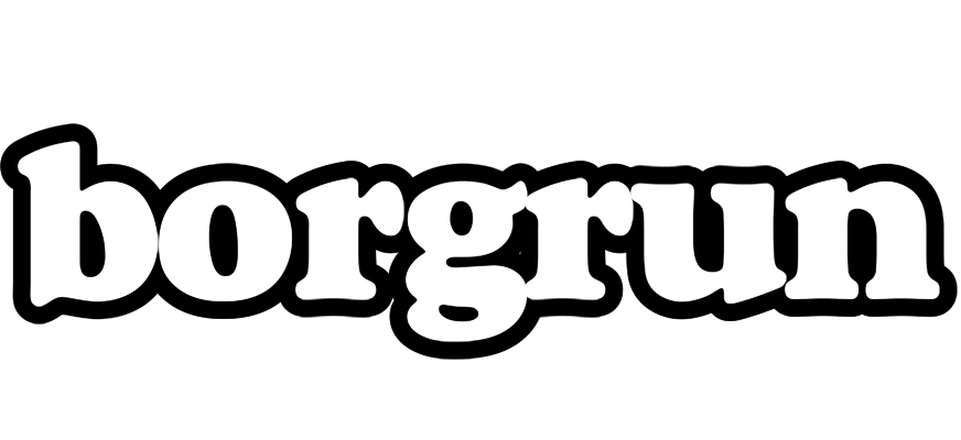 Borgrun panda logo