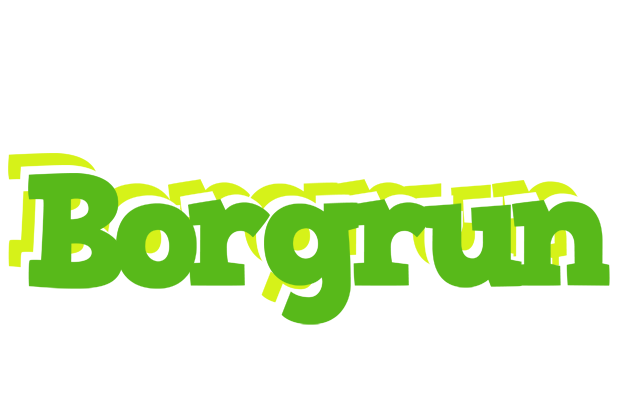 Borgrun picnic logo