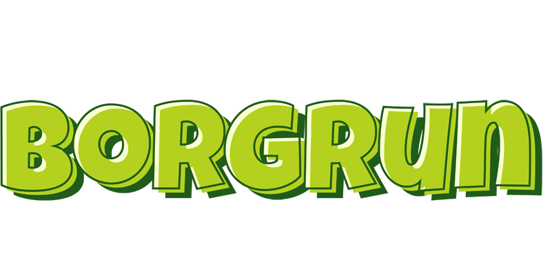 Borgrun summer logo