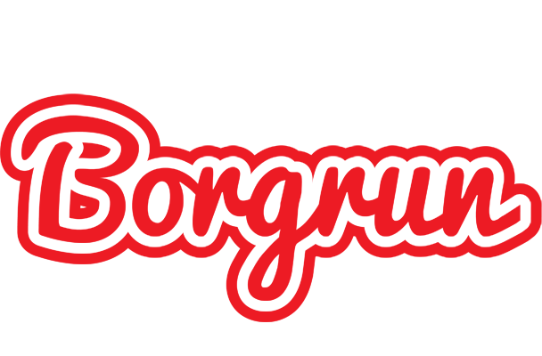 Borgrun sunshine logo