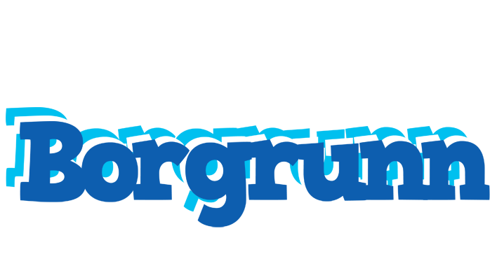 Borgrunn business logo