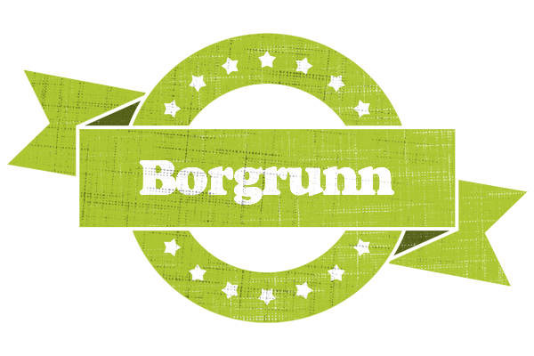 Borgrunn change logo