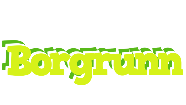 Borgrunn citrus logo