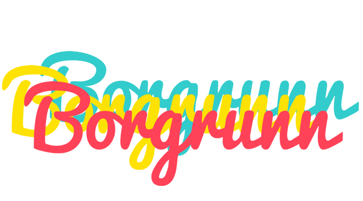 Borgrunn disco logo