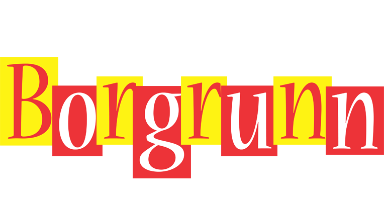 Borgrunn errors logo