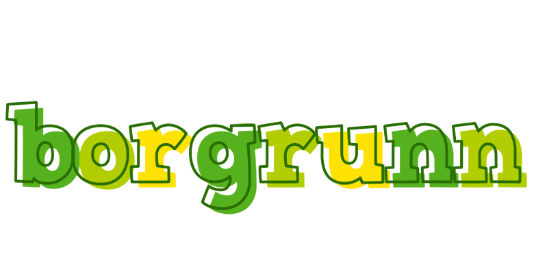 Borgrunn juice logo