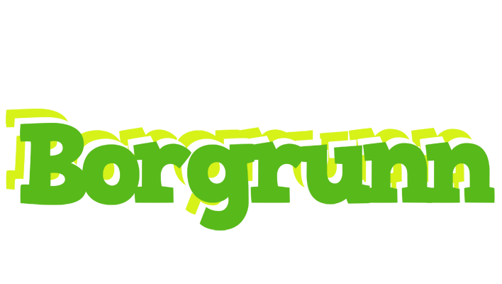 Borgrunn picnic logo